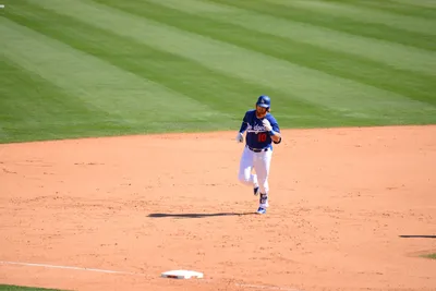 DSC_1623 (Large).JPG